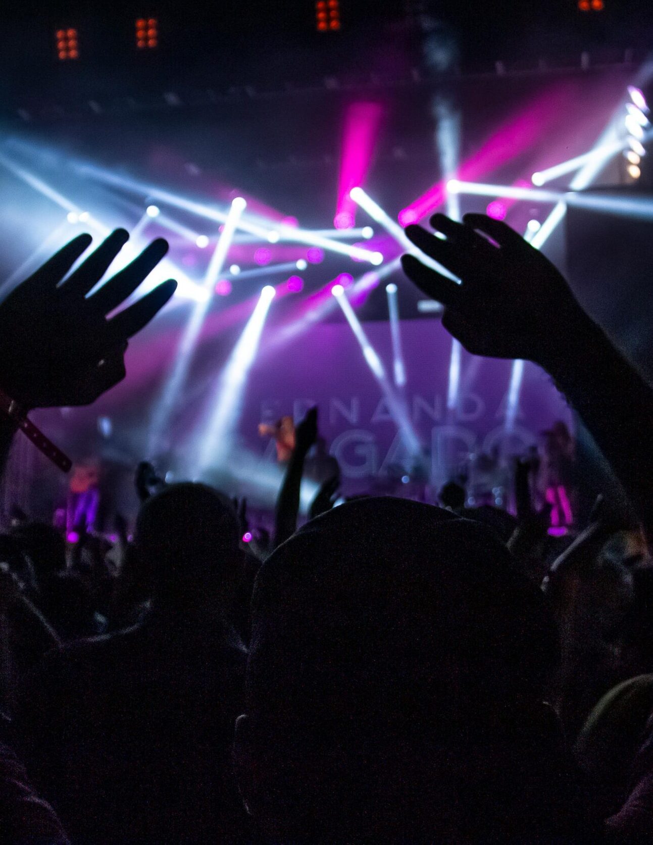 sound system & lighting